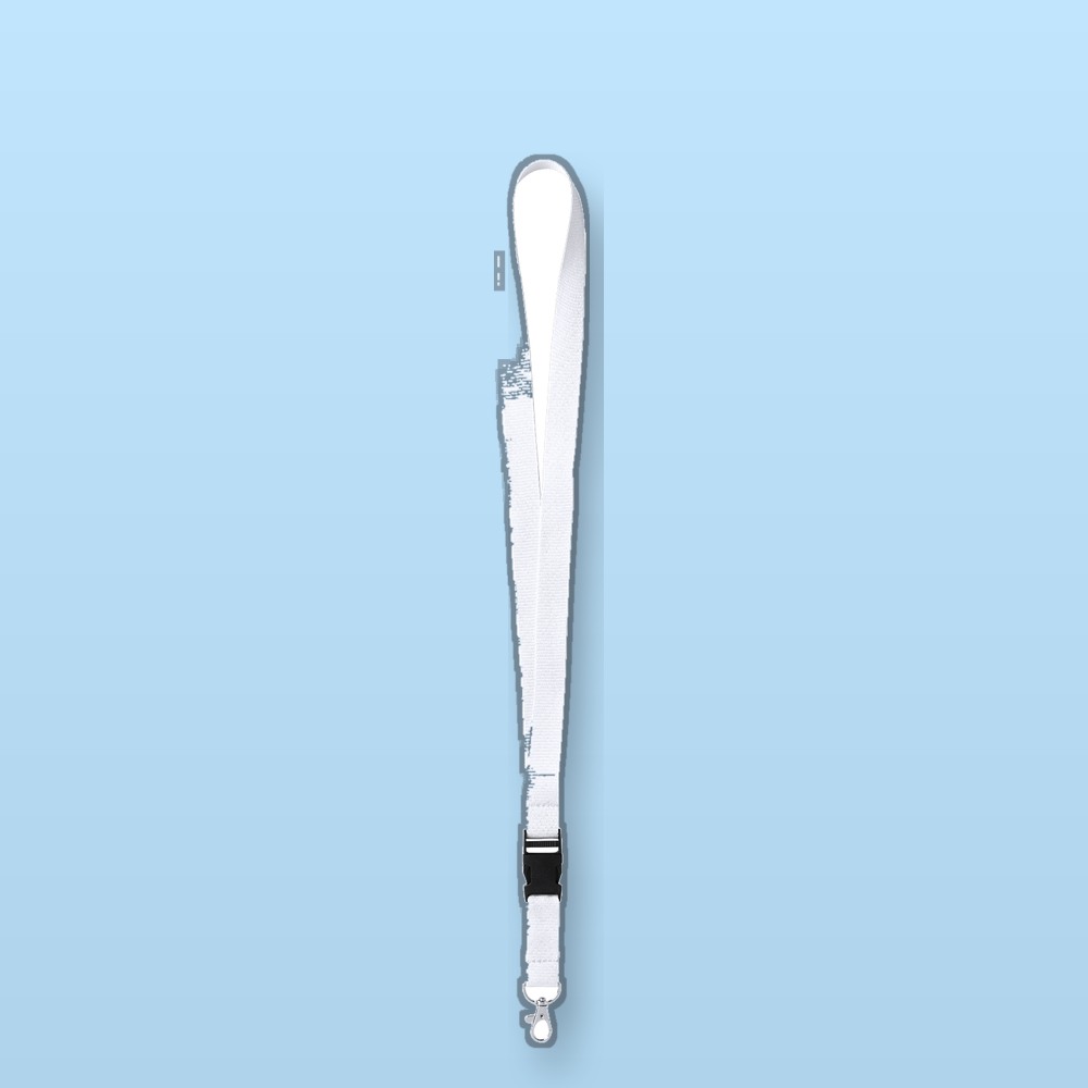 Lanyard
