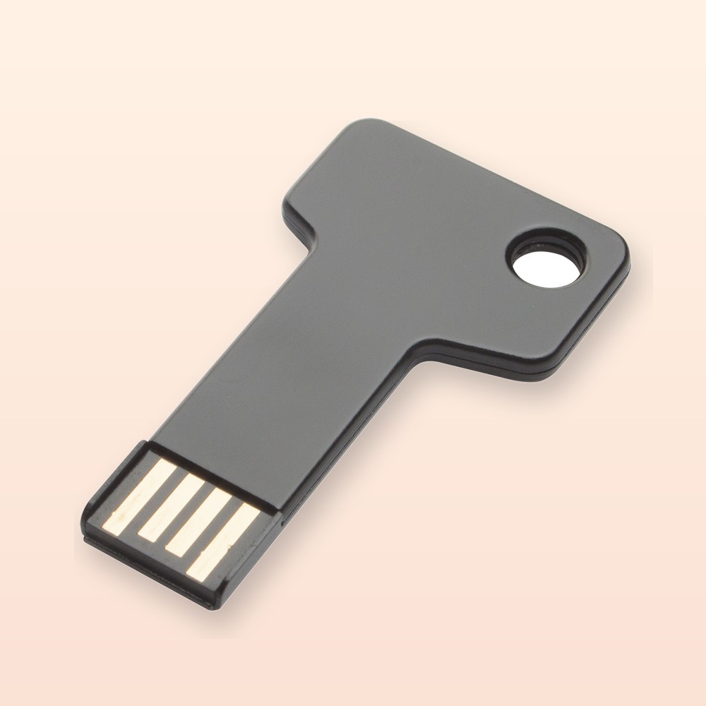 Chiavetta USB